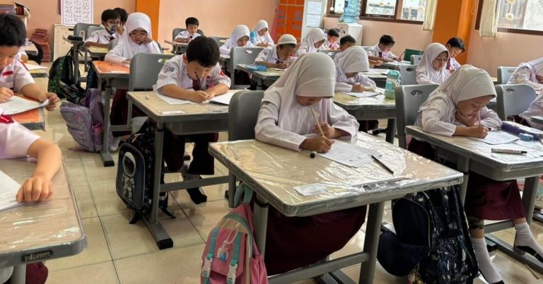 WhatsApp Image 2026-01-03 at 11.08.34